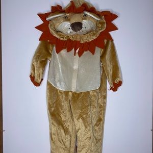 Lion Costume Onsie for Dress Up or Halloween Size 4/5T